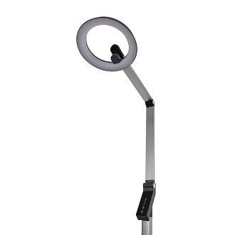 Торшер 127 см, 15W, 3000-6000K, Lumion 8332/15FL, темно-серый