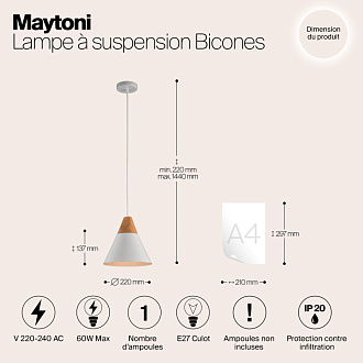 Подвесной светильник Maytoni Bicones P359-PL-01-W