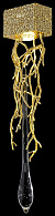 Светильник настенный Wertmark Divina WE186.01.401, 10*16 см, матовое золото