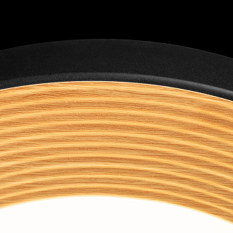 Потолочный светильник 50*12 см, 1*LED*30W 4000K LOFT IT Folk 10255/500 Black черный