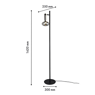 Торшер 30*25*162 см, 9W, Favourite BARON 4284-1F матовый черный, стекло дымчато-серого цвета, белый акрил