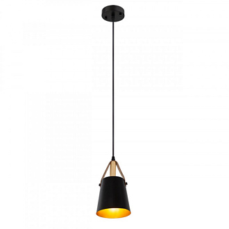 Светильник подвесной Arte lamp Thomas Черный A7032SP-1BK