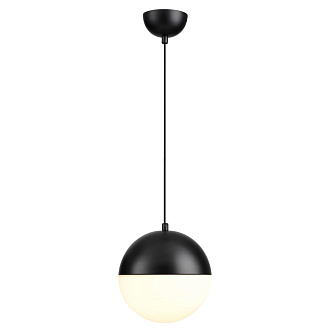 Подвесной светильник Odeon Light Pinga 4958/1A, диаметр 20 см, черный