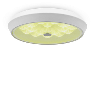 Потолочный светильник 39 см, 24W Freya Cells FR10012CL-L24W, 3000-6500K, белый