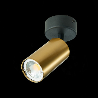Светильник 7 см, 50W, ST LUCE ST303.202.01 Золотистый
