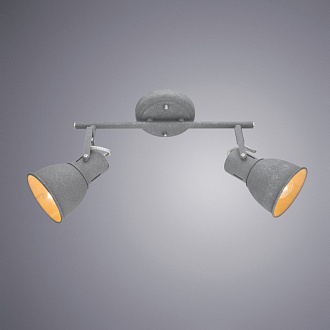 Светильник спот Arte Lamp A1677PL-2GY серый 