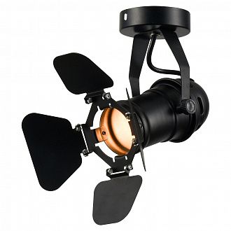 Потолочный светильник Lussole Loft Expression LSP-9838, E14, диаметр 6 см, цвет чёрный.