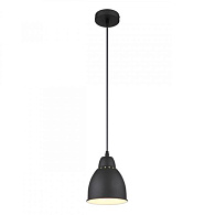 Подвесной светильник Arte Lamp Braccio A2054SP-1BK, черный