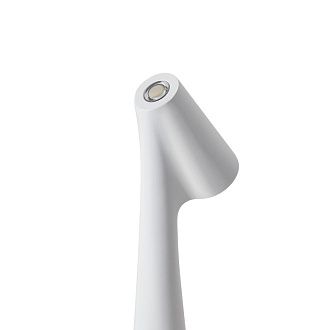 Настольная лампа 5,5*5*33,5 см, LED, 1.5W, 3000К, Freya Clam FR6188TL-L3W белый