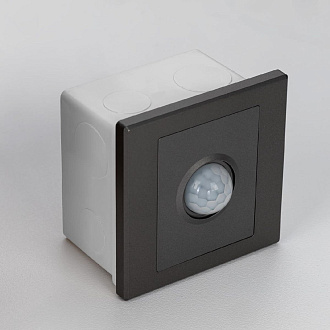 Датчик движения Citilux Skally CLR005KS1, графит
