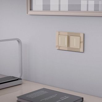 W0021111 Рамка на 2 поста Favorit, шампань,стекло Werkel, 4690389159596