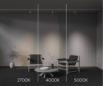 Трековый трехфазный светильник 6 см, 12W, 2700-5000K, Maytoni Focus Led TR197-3-12WCCT-M-W, белый
