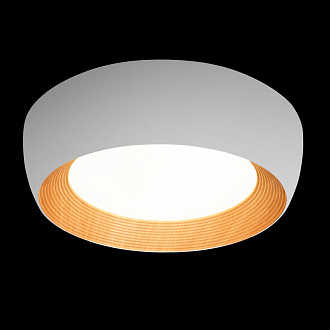 Потолочный светильник 35*11 см, 1*LED*30W 4000K LOFT IT Folk 10255/500 White белый