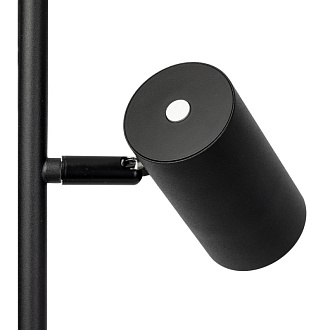 Торшер Citilux CL809011N Twin Черный 