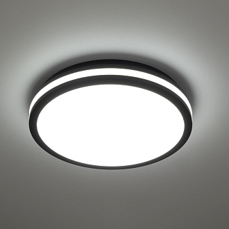 Светильник 29 см, 24W, 3000К-6000К IP64 Citilux CL711021V LUNS Черный