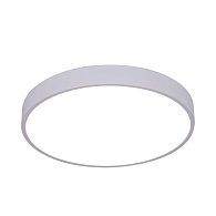 Светильник 40 см, 60W, 2700-4000K Arte Lamp Arena A2661PL-1WH белый