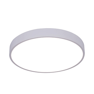 Светильник 40 см, 60W, 2700-4000K Arte Lamp Arena A2661PL-1WH белый