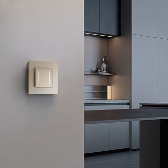 W0013111/ Рамка на 1 пост Senso (шампань, стекло soft-touch) Werkel 4690389200342