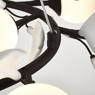 Люстра подвесная Ceramo BW Lightstar 799127