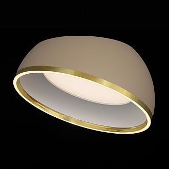 Светильник 50 см, 45W, 3000-6000K, Citilux FLOOM CL736152, бежевый-золото