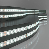 Лента светодиодная 24V 8W 120Led 2116 IP20 холодный белый, 5м 2116 24V 120Led 8W IP20 Elektrostandard