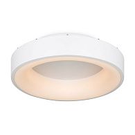 Светильник *40*-10,5 см, *LED*41W, 3000-6000K, Freya Люмикс/Lumix FR6118CL-L45W, Белый