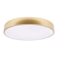 Потолочный светильник 40*5 см, 1*LED*24W 4000K золото LOFT IT Flims 10228/A