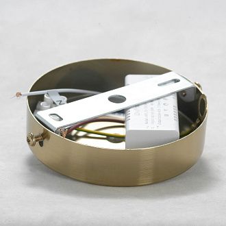 Бра Lussole LSP-8681, 10*55 см, матовое золото