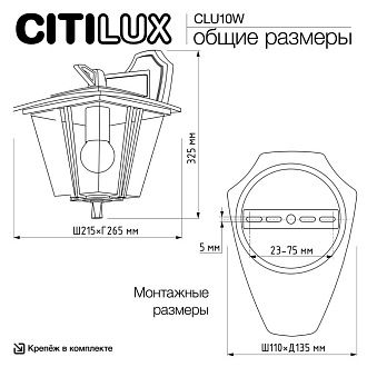 Уличный настенный светильник 33 см, Citilux FORTS CLU10W , черный