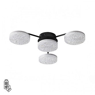 Люстра потолочная 48,5*54*9,5 см, 1 LED 55W 3000-4000-6000K Lumion Didana 8236/4CL черный