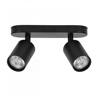 Светильник 22 см, Arte Lamp AQUARIUS A3226PL-2BK, черный