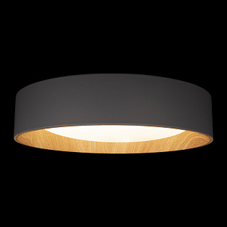 Потолочный светильник 45*10 см, 1*LED*36W 4000K серый, дерево LOFT IT Coin 10202 Grey