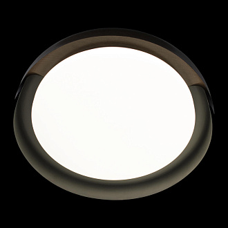 Светильник 46 см, 28W, 4000K Loft It (Light for You) Coin 10198 Black, черный