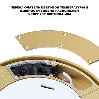 Уличный потолочный светильник с переключателем цв. температуры и мощности 32 см, 40W, 2700-4000K, Novotech Street Opal 359734, матовое золото