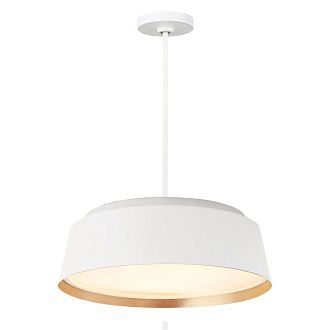 Подвесной светильник Feiss, Арт. FE-ASHER-5P-WHT