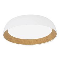 Светильник  Белый, Древесный/белая LED 1*36W 4000K St Luce  SLE1812-502-01