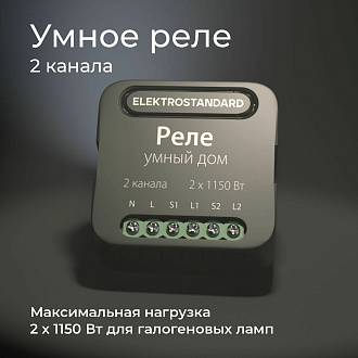 Умное двухканальное реле 76007/00 Elektrostandard