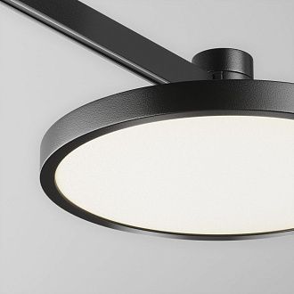 Трековый светильник Plato Flarity 4000K 10Вт 120°, 5,4 см, LED*10W, Maytoni TR153-1-10W4K-B, Черный