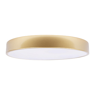 Потолочный светильник 40*5 см, 1*LED*24W 4000K золото LOFT IT Flims 10228/A