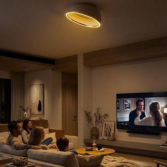 Светильник 50 см, 45W, 3000-6000K, Citilux FLOOM CL736152, бежевый-золото