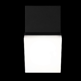 Уличный настенный светильник 9,1*14,5 см, 1*LED*3W 3000K LOFT IT Eterno 100010/A черный