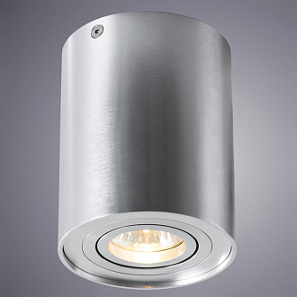Накладной светильник Arte Lamp A5644PL-1SI серебро