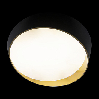 Светильник 50 см, 36W, 4000K Loft It (Light for You) Coin 10199 Black, черный