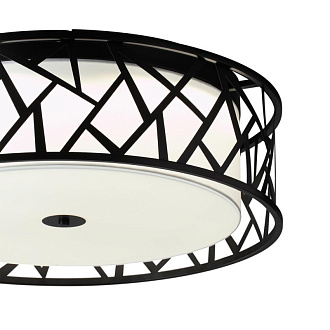 Накладной светильник *50*20 см, LED, 40W, 3000K-6000K Sonex Fabiana 7700/40L, черный