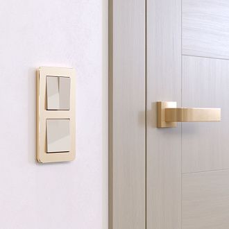 W0022611 Рамка на 2 поста Platinum, шампань Werkel, 4690389184468