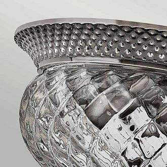Потолочный светильник Hinkely Lighting, Арт. HK-PLANT-F-S-PL