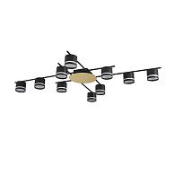 Светильник подвесной 120*87*12-12 см, 10*GX53 LED*7W, Lumion Benua LUM8304/10C, черный; золотой