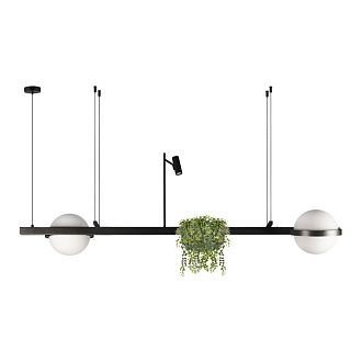 Подвесной светильник 150 см, 75W, 3000K, Loft IT Jardin 10121/D, черный
