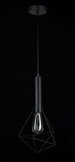 Подвес Maytoni T021-01-B, черный