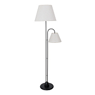 Торшер 145*57*40 см, 2*E27, 15W, Arte Lamp Alea A5068PN-2BK, Черный